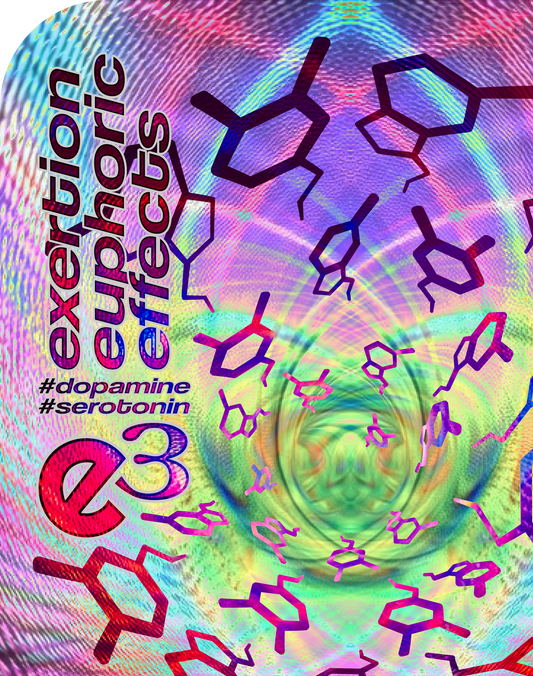 e3 happy mix Adults T-shirt