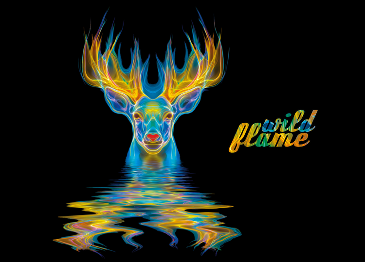 Wild Flame at Christmas