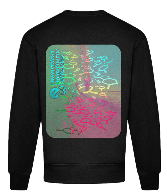 e3 serotonin waves Adults Luxury Sweatshirt